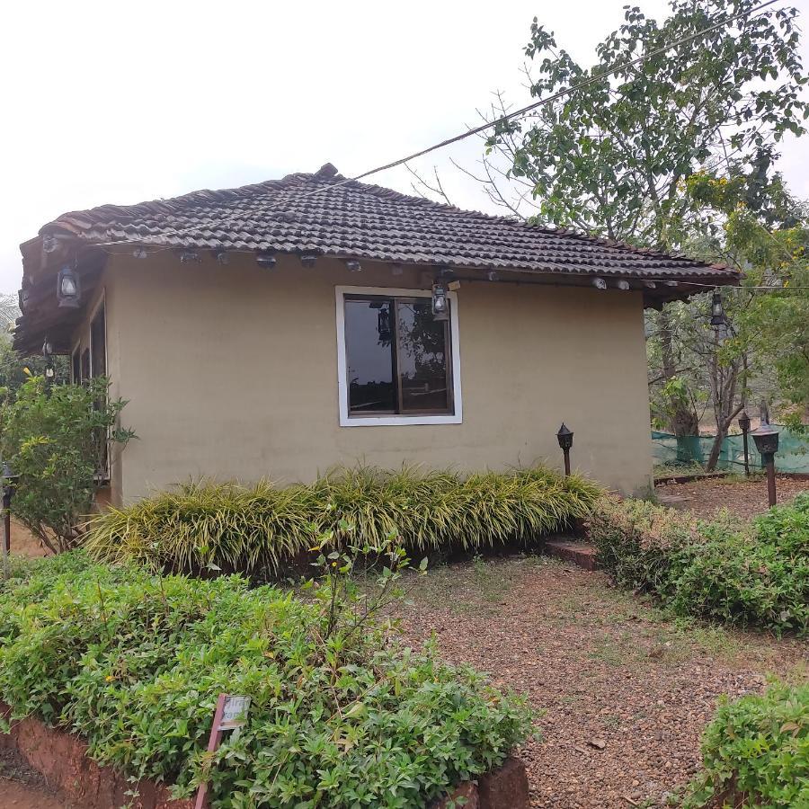 Raigad Agro Park Mahad